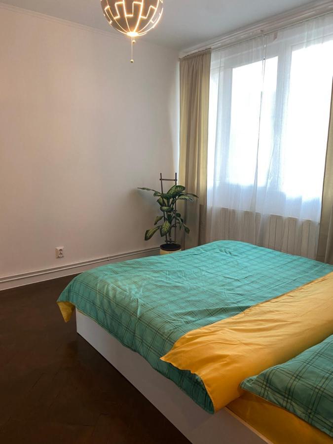 Zaza Apartament - Central Area, With Balcony Târgu Jiu Dış mekan fotoğraf